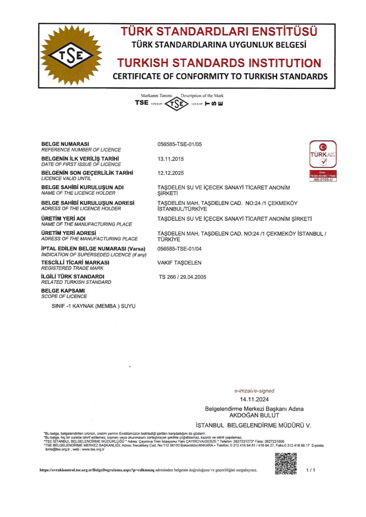 TSE - TS 266 RN BELGELENDRME SERTFKASI 2025-1